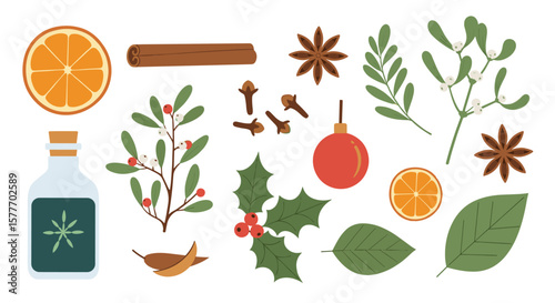 Festive winter spices and botanicals for a cozy holiday season celebration