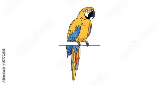 A vibrant yellow blue parrot perched gracefully on a thin branch against a pure white background