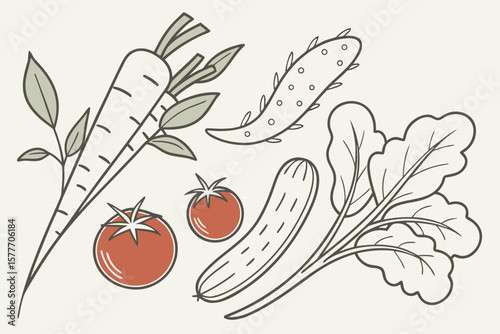Illustration of fresh vegetables including tomatoes, carrots, and cucumbers