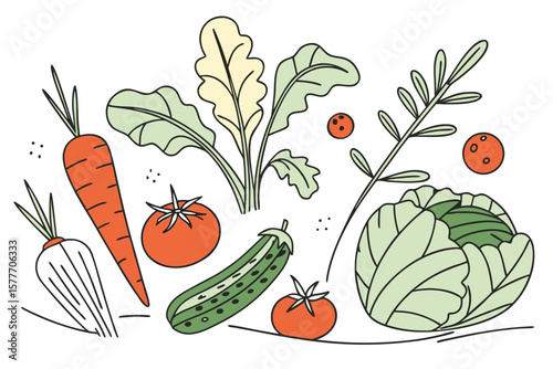 Freshly harvested vegetables including carrots, tomatoes, and cabbage isolated on white background