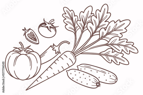 A line drawing of fresh vegetables harvested from the garden