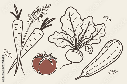 Illustration of fresh vegetables including carrots, tomatoes, beets, and zucchini