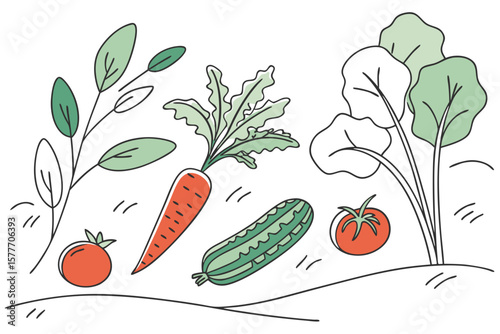 Illustration of a vegetable garden with carrots, tomatoes, and zucchini