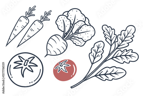 Freshly harvested carrots, beets, and tomatoes isolated on white background