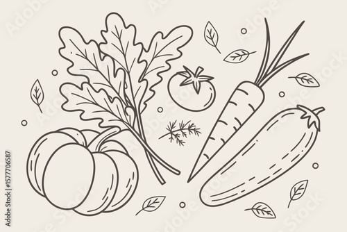 Freshly harvested pumpkin, carrot, cucumber, and tomato isolated on white background