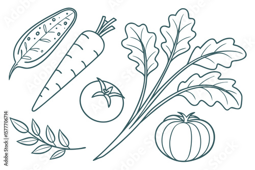 A collection of outlined garden vegetables and herbs