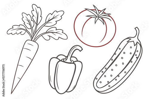 A line drawing of garden vegetables including a bell pepper