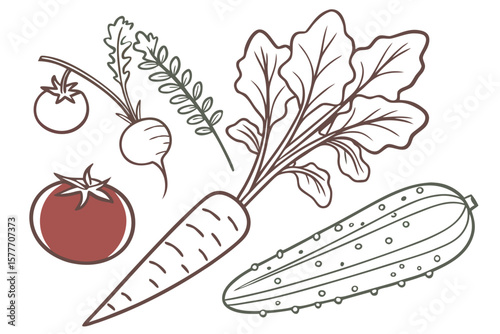 Vegetable illustrations in brown and green isolated on white background