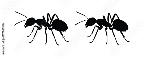 Ant Logo Design Vector Illustration.Ant silhouette vector. Ant Vector Design Logo. Ant Illustration With Various Shapes.  