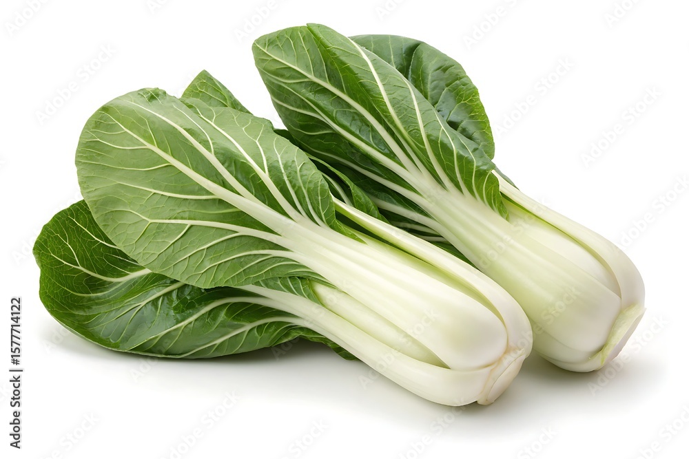 Bok choy vegetable white background Bok choy vegetable white background
