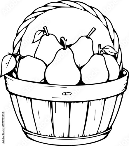 Pear fruit and basket illustrations, ripe green details for coloring book