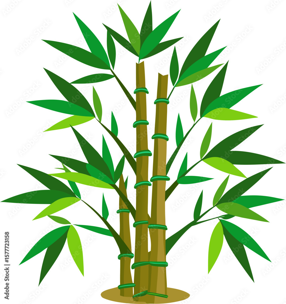 Obraz premium Bamboo Tree icon 
