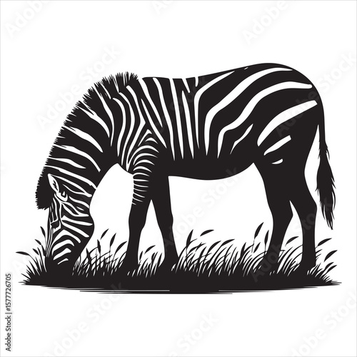 Silhouette vector of a zebra standing on a white background