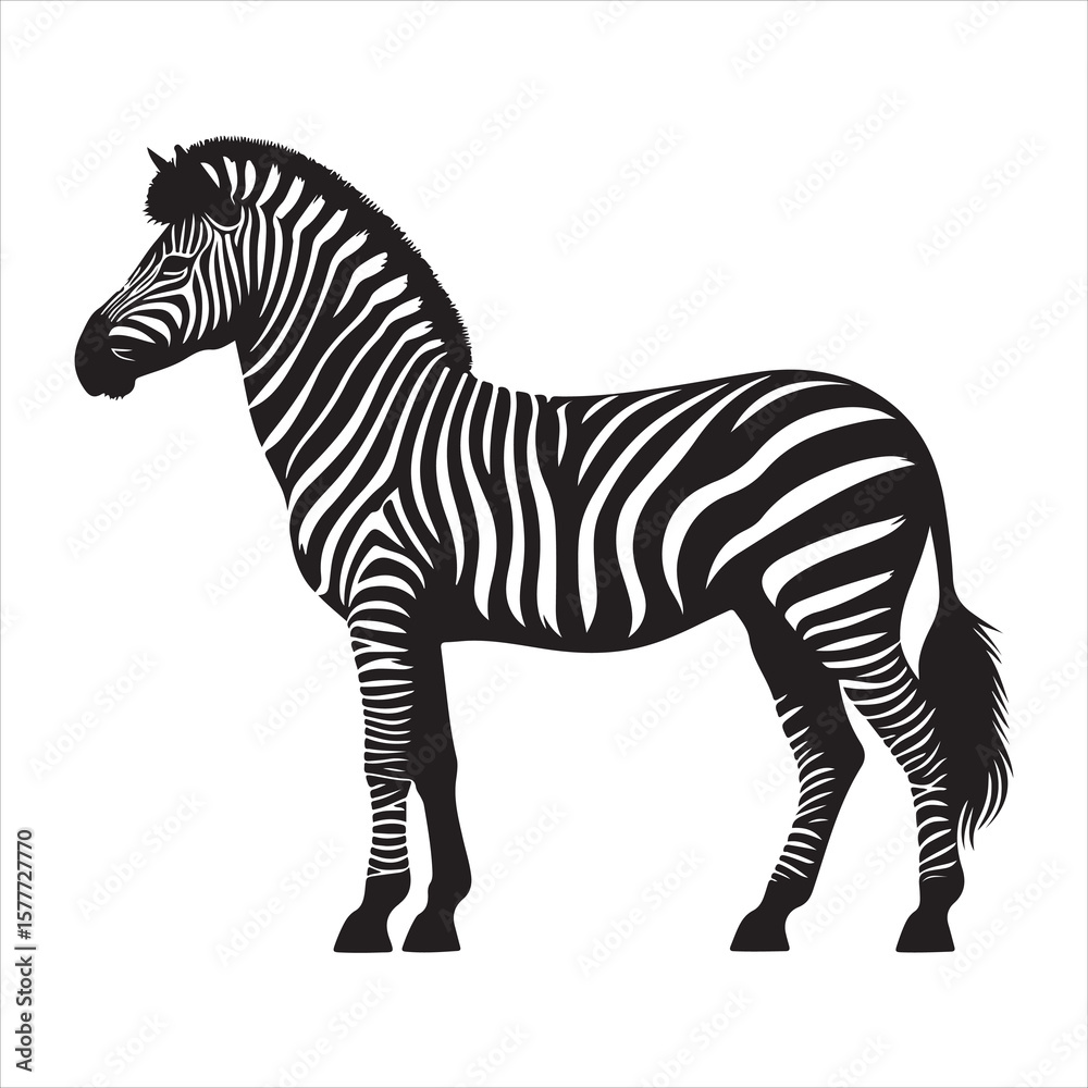Fototapeta premium Silhouette vector of a zebra standing on a white background