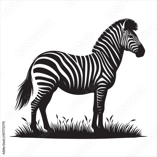 Silhouette vector of a zebra standing on a white background