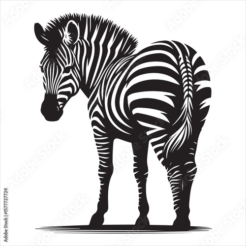 Silhouette vector of a zebra standing on a white background