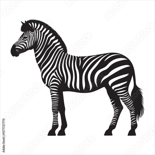Silhouette vector of a zebra standing on a white background