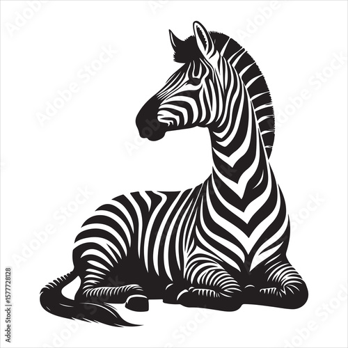 Silhouette vector of a zebra standing on a white background
