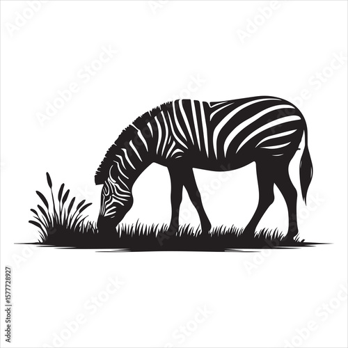 Silhouette vector of a zebra standing on a white background