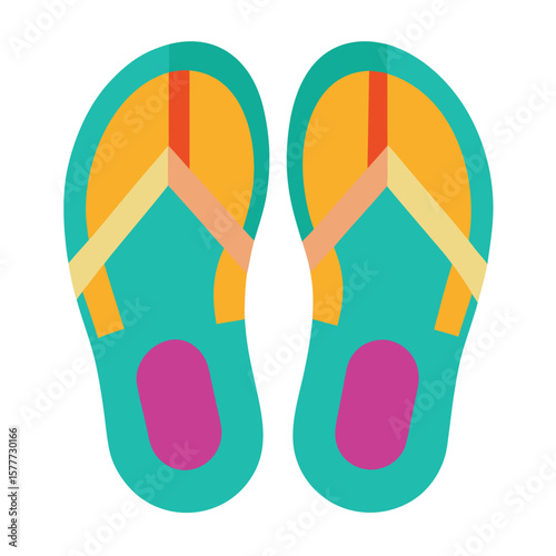flip flops vector illustration