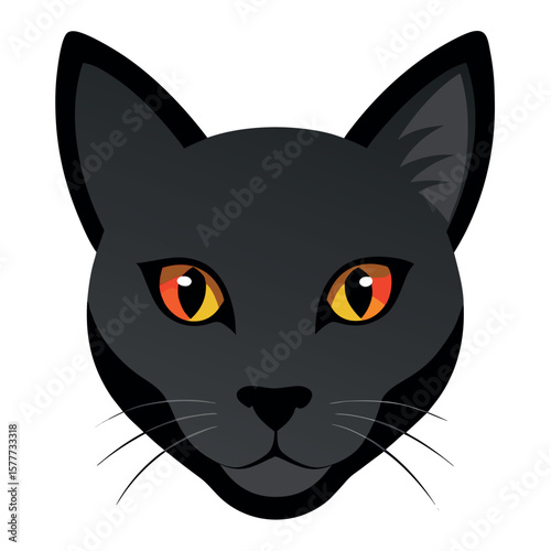 black cat face