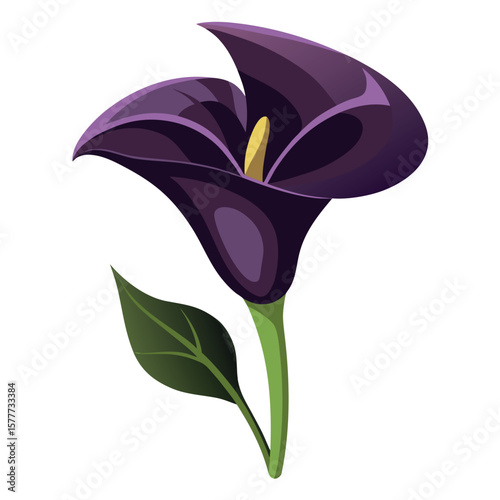 purple orchid flower