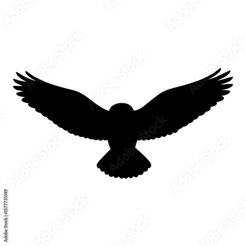 Silhouette of a magnificent bird with wide spread wings gliding gracefully
