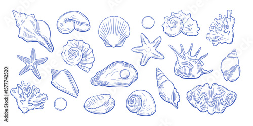 Set of hand-drawn blue marine elements. Coastal nautical seashells, starfish, corals, pearls in vintage sketch style. Line art of ocean-themed for branding design, decor, beach wedding invitations.