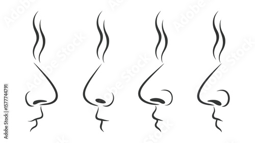Line art noses smelling aroma outline of olfactory sense on white