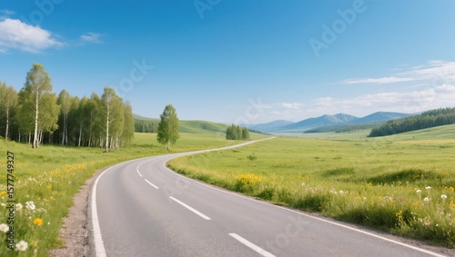 Lonely Road Through Wild Landscape