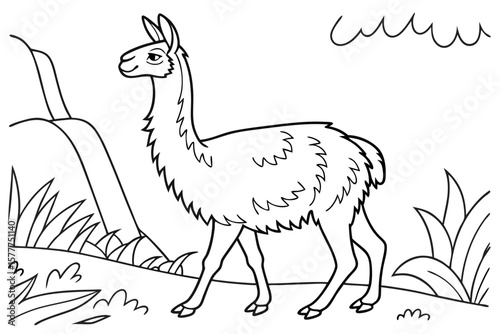 coloring page line art the vicuna black vector