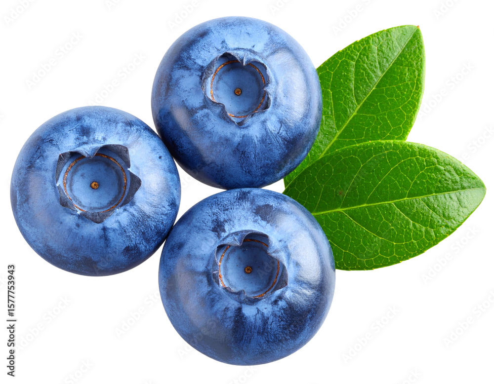 Obraz premium Top View of Three Blueberries with Overlapping Leaf Accent, Isolated PNG