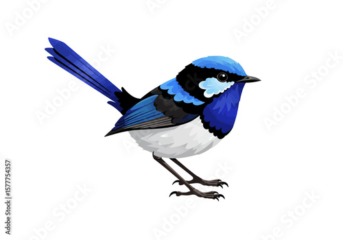 Blue Fairy Wren Bird Illustration | Small Songbird Clipart | Colorful Wildlife Art | Nature Feathered Animal Drawing | Cute Forest Bird Design

