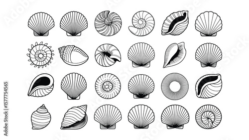 Sea Shells Outlines Seamless Pattern, Various Marine Mollusks Isolated on White