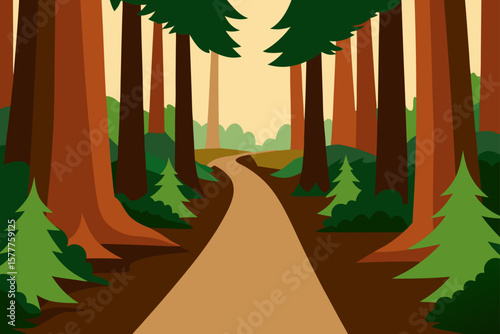 Redwood Forest Trail with Majestic Tree Canopy