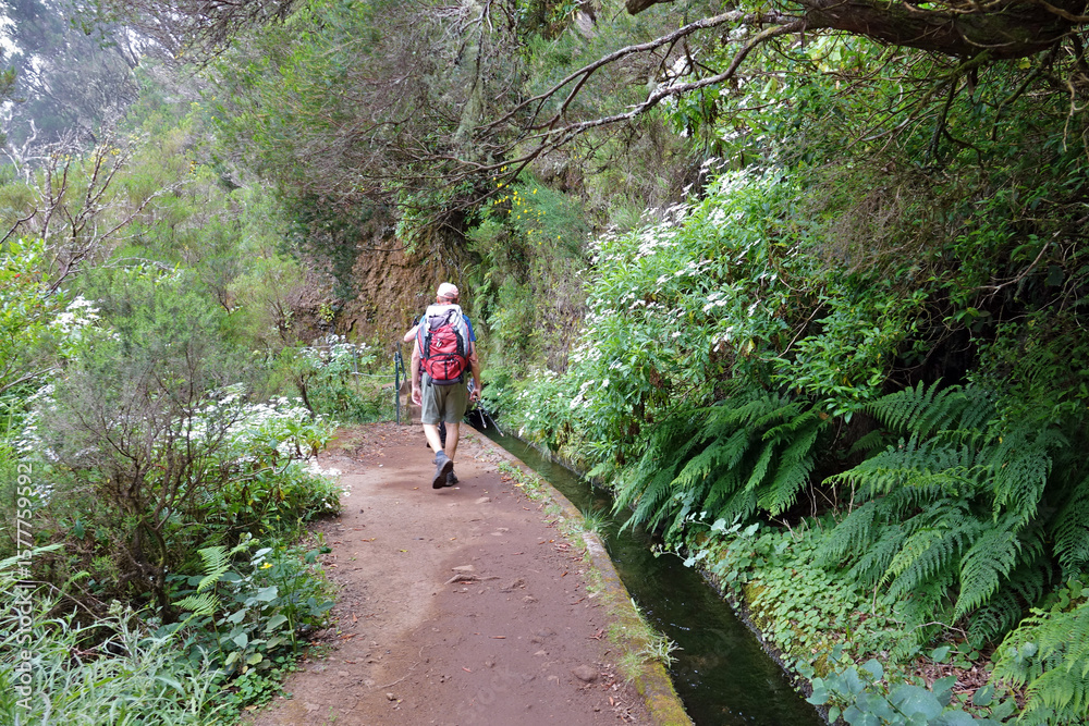 Fototapeta premium Trek à Madère 2025 - Jour 10 (randonnée dans les Levadas et sur le site de Rabaçal, cascade de Risco, lacs do Vento et de Dona Beija)