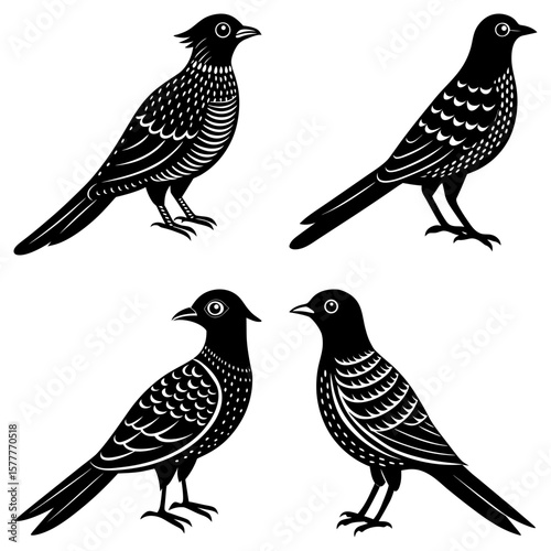 Four stylized birds in black and white with varying feather patterns and unique head crests shown