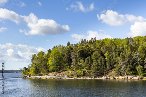 Photography Stockholm archipelago green trees forest island in Baltic sea