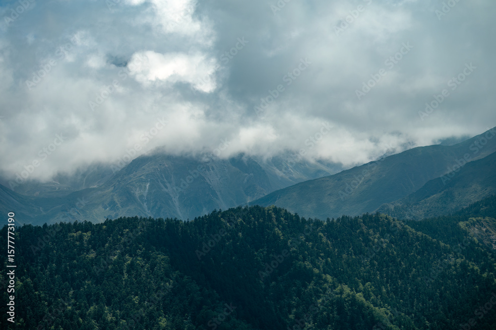Fototapeta premium mountain forest landscape with clouds