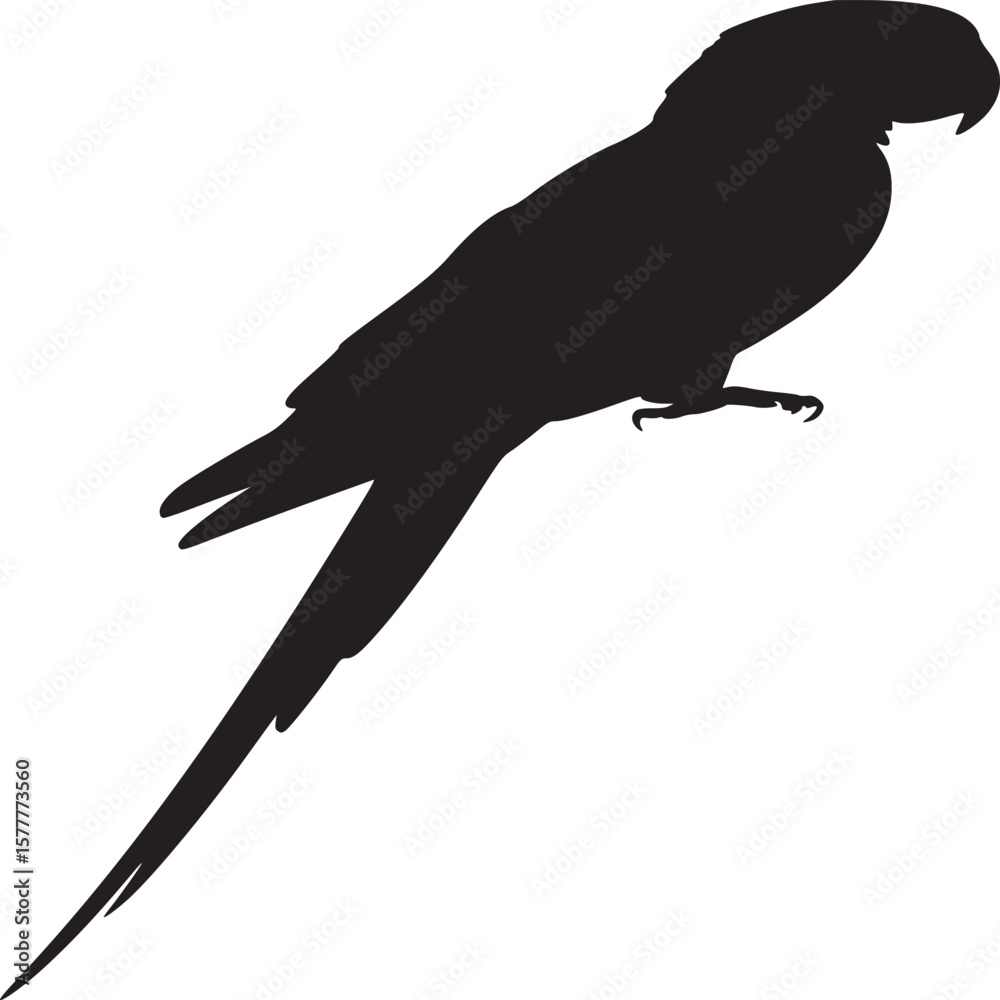 Fototapeta premium Black parrot silhouette, bird icon, tropical animal symbol, wildlife illustration