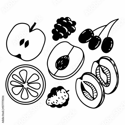 Hand-drawn dried fruits mix slices, monochrome, for healthy food blogs - with copy space
