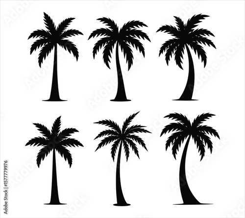 Beach Palm Tree Silhouettes in Various Shapes
