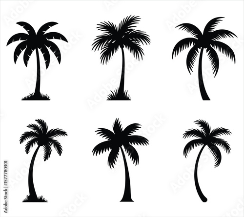 Clean Palm Tree Vector Silhouettes
