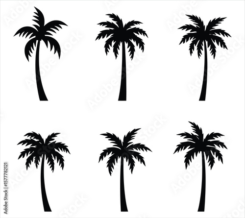 High Quality Palm Tree Vector Silhouettes
