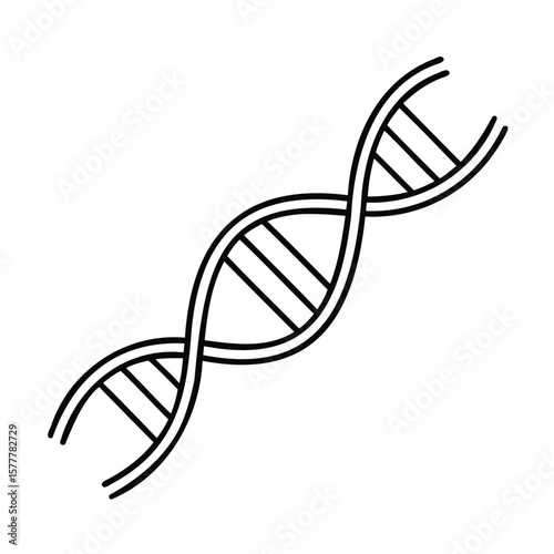 Handdrawn D N A double helix graphic on strand genetic