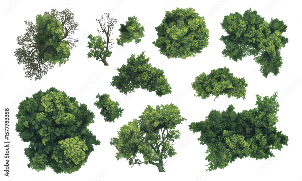 Top-down aerial view of green tree canopy clusters for landscape design