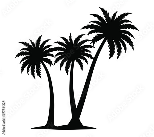 Palm Tree Silhouette Vector Isolated Set