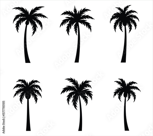 Palm Tree Vector Collection in Black Fill