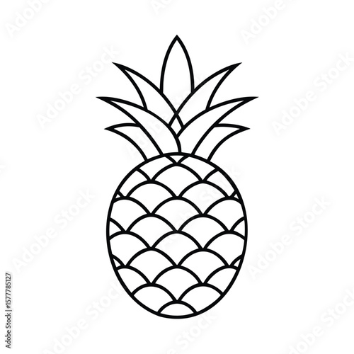 Handdrawn pineapple on a with detailed outlines fruit tropical