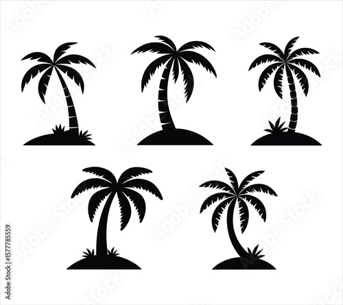 Stylized Palm Tree Silhouette Vecto